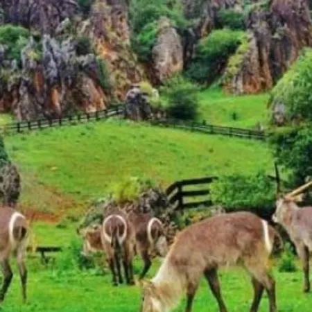 Apartamento Centro *