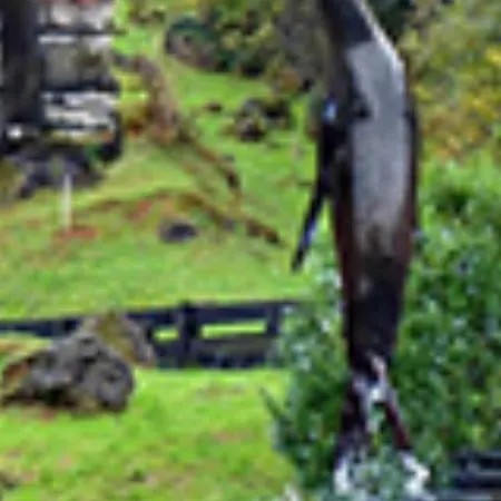 Apartamento Centro *