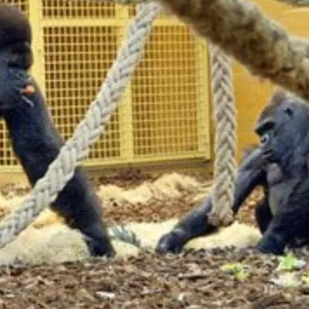 Centro Apartamento Saron